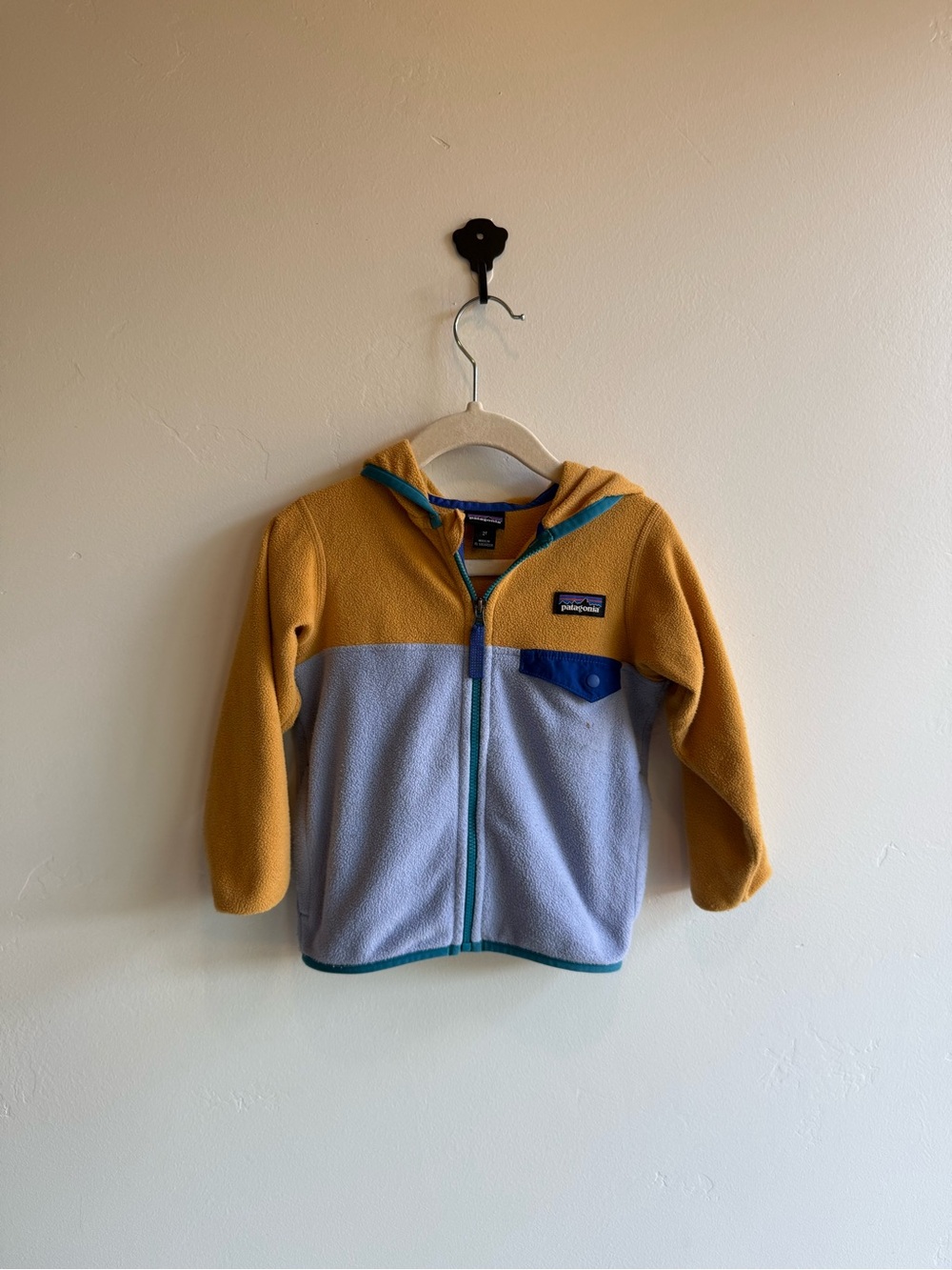 2T Patagonia Kids Micro D Snap-T Fleece Jacket